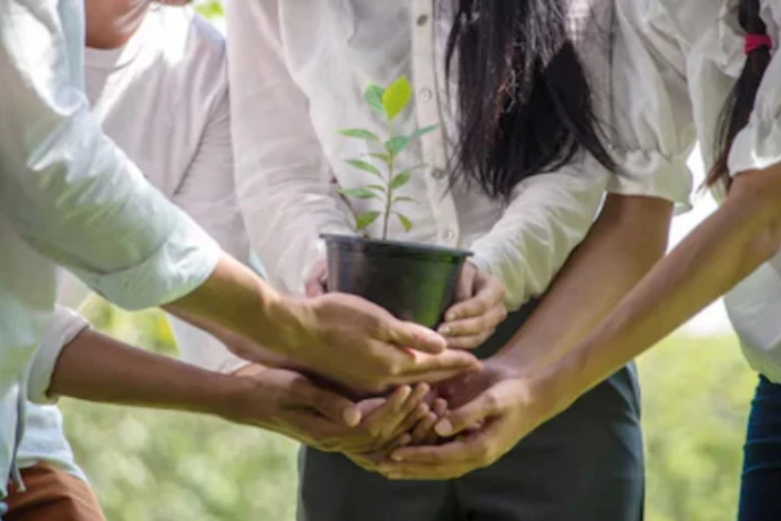Sustainability